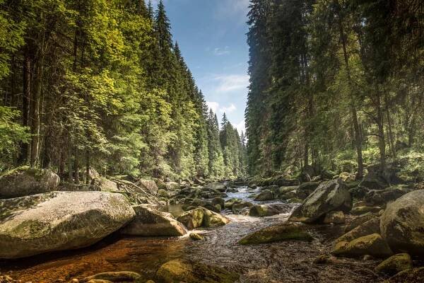Vzhůru do divočiny. Národní park Šumava zpřístupnil čtyři nové trasy