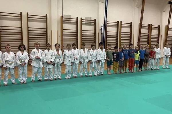 Judo Best Motion foto 1