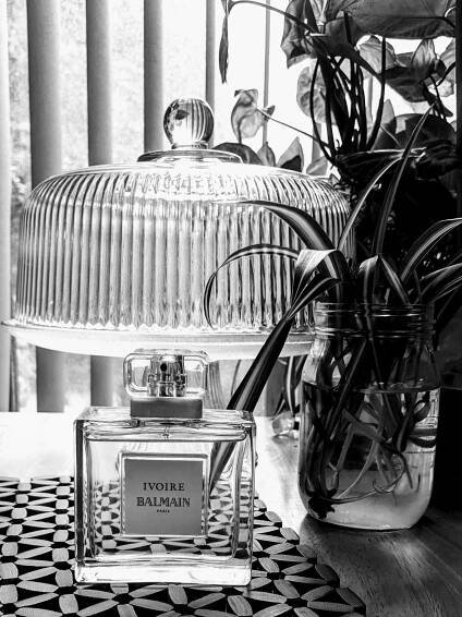 Ivoire Pierre Balmain pro ženy