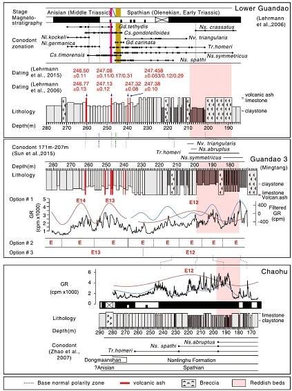 Fig. 6. Cyclostratigraphy interpretation of the Guandao sections and projection via magnetostratigraphy to Chaohu in upper Spathian and lowest Anisian. Pink shading denotes intervals that are dominated by reddish-colored facies in each section. Lower Guandao: Chrono-, magneto- and litho-stratigraphy and radiometric dating are from Lehrmann et al. (2006, 2015). The brown band shows residual maximal horizon of overlapping conodont ranges for Gladigondolella carinata and Ch. timorensis for the base of the Olenekian-Anisian transition (OAB interval) while the pink band indicates residual maximal horizon of overlapping Gd. tethydis and Tr. homeri for the top of the Olenekian-Anisian transition following the scheme of Goudemand et al. (2012). Guandao 3 (Mingtang): The lower part of the Guandao 3 section is correlated with the Lower Guandao section using the distinctive thick reddish-colored beds and the conodont biostratigraphy of the 171-207 m interval (Sun et al., 2015), and using volcanic ash beds and facies patterns in its upper part. GR and filtered 17-m cycles (Gauss filter, passband of 0.06 + 0.03 cycles/m) have 3 tuning options to eccentricity as discussec in Section 3.3. Upper Chaohu: Features of the Lower Guandao and Guandao 3 sections that may have correlative features to the Chaohu section (Fig. 3) are the conodont datums and reddish beds in the lower part, and magnetostratigraphy plus general GR signal and lithology patterns in the middle and upper parts (details in Appendi» Section A.4.2). (For interpretation of the references to color in this figure legend, the reader is referred to the web version of this article.) 
