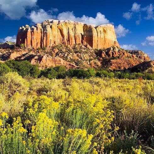 new mexico