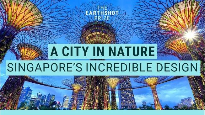 Why all cities should be designed like Singapore