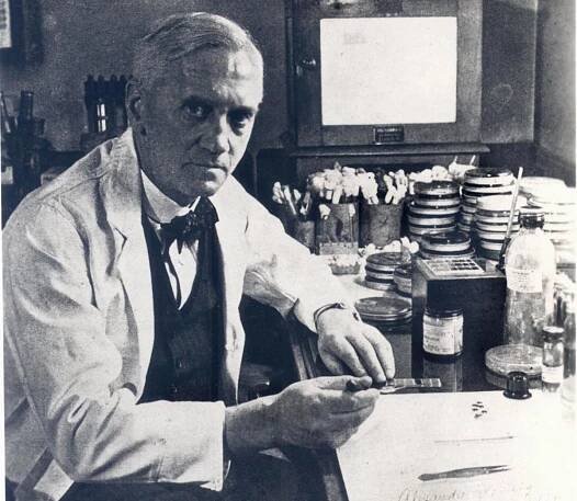 Pred 95 rokmi objavil Alexander Fleming penicilín. Pomohla mu náhoda?