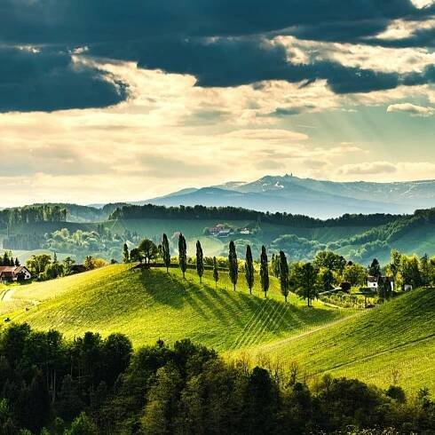 Weinbaulandschaft Steiermark