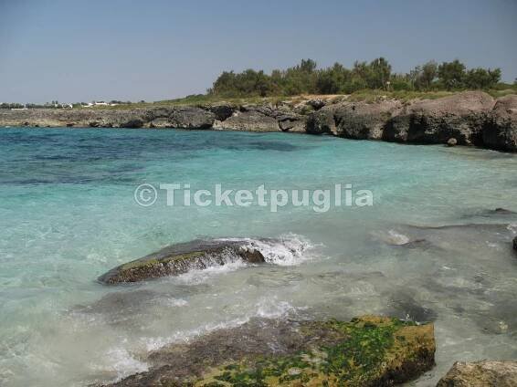 Ticketpuglia : photos of the Ionian coast of Puglia