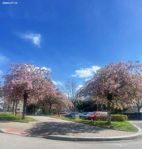 Prodej bytu 3+kk 80 m² Ke dvoru, Praha - Vokovice - praharnk.cz