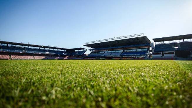 epet ARENA má nový trávník | sparta.cz
