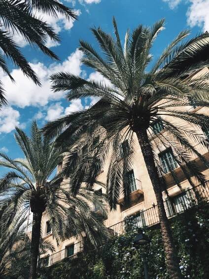 Property market Palma de Mallorca