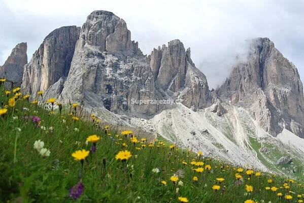 SPORTHOTEL ENROSADIRA CAMPITELLO DI FASSA - Itálie - Dolomiti Superski - Val di Fassa e Carezza | Superzajezdy.cz