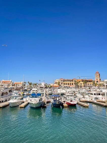 Cabo san lucas Marina