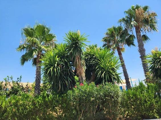 Cortijo Estacada | Galerie.