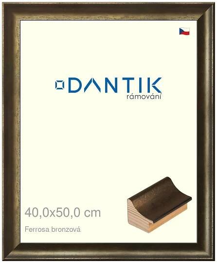 DANTIK rámeček na obraz 40x50