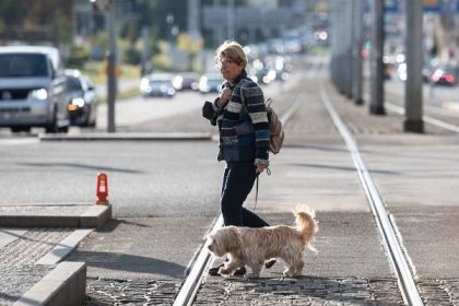 Výběr z médií: Lidé se zbavují psů, chytré náramky pro duševně nemocné a autobus bez řidiče