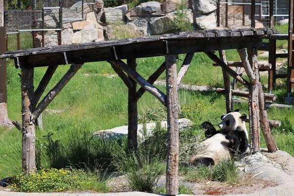 Ähtäri Zoo
