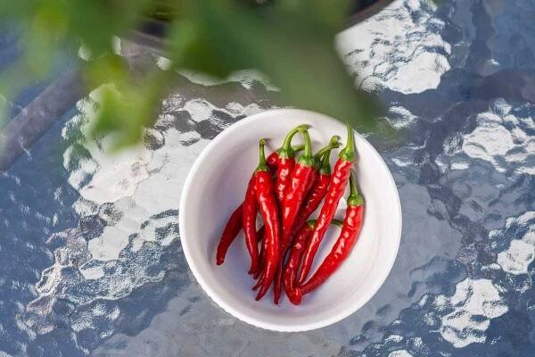 Aká je najštipľavejšia paprika