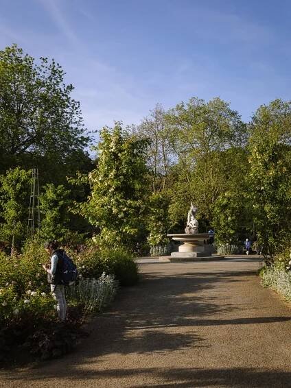 rose garden hyde park
