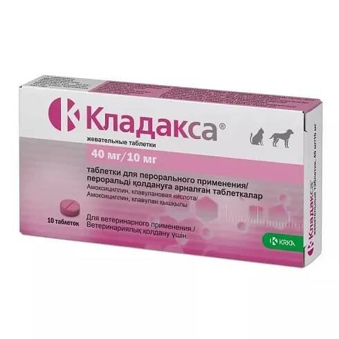 Jaké antibiotikum je pro kočky nejlepší?