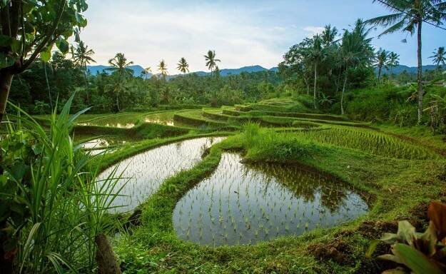 Luxusní zážitková dovolená Bali