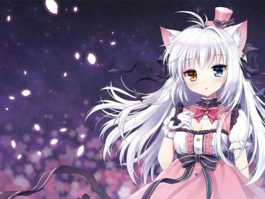 Everything You Need to Know About Anime Cat Girls