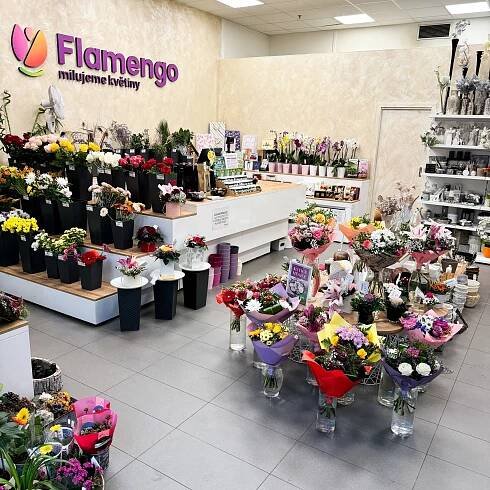 Flamengo květiny u HM Tesco | OC Letňany