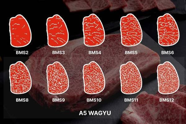Why Wagyu Gets High Marbling Scores