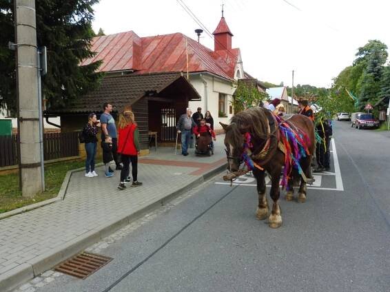 Kácení máje - Oficiální stránky obce Valašská Senice