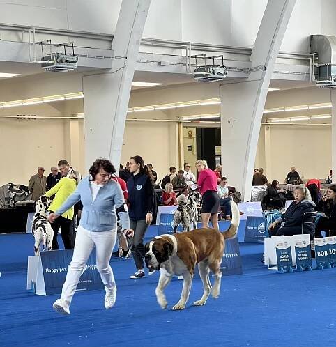 Chovatelská stanice psů Ostrava -