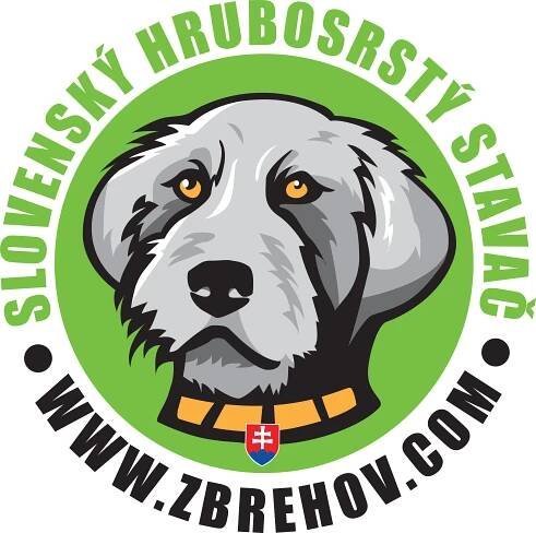 logo-zbrehov.com