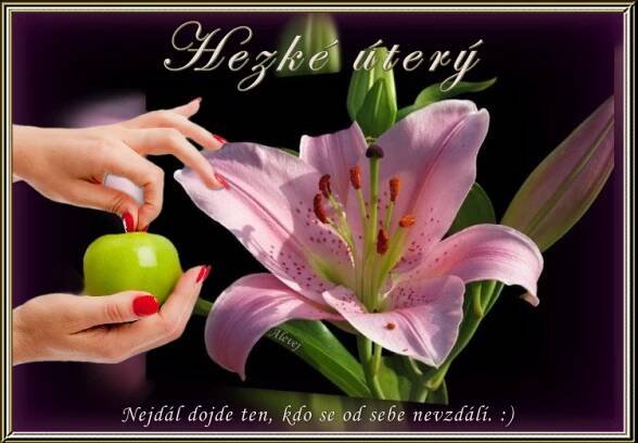 Hezké úterý - Gifyu