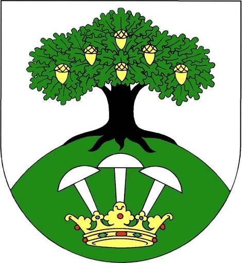 Soubor:Stasov BE CZ CoA.jpg