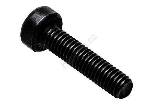 Šroub Stihl IS-M6 x 25 (OEM 90223711350) | HS Parts 
