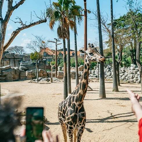 Barcelona: 1denní vstupenka do barcelonské zoo | GetYourGuide