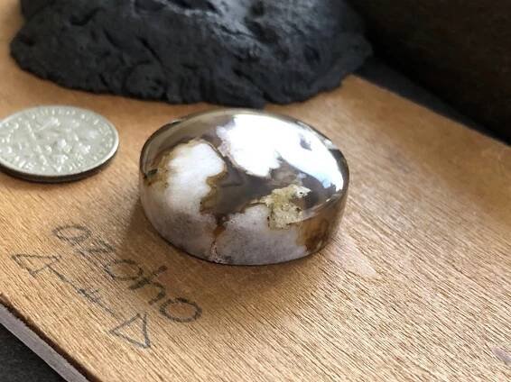Turkish Floral Agate Round Cab c1815 - Image 3