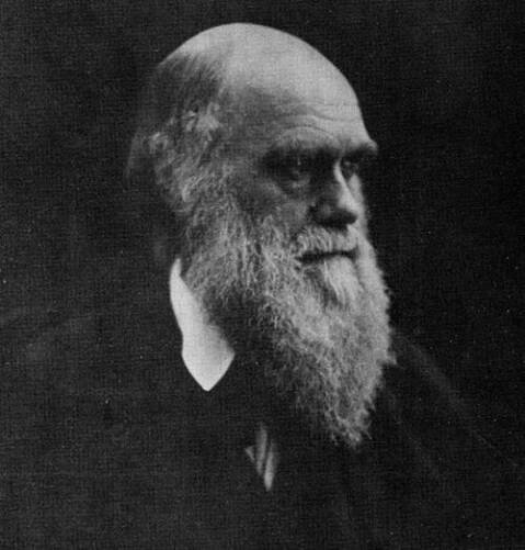 Portraits of Charles Darwin - Wikipedia