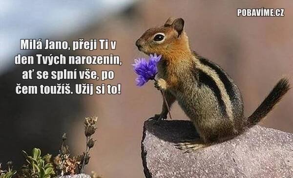 Přání k svátku pro Janu | Pobavime.cz