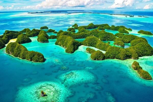 Palau Snorkel & Kayak Tours