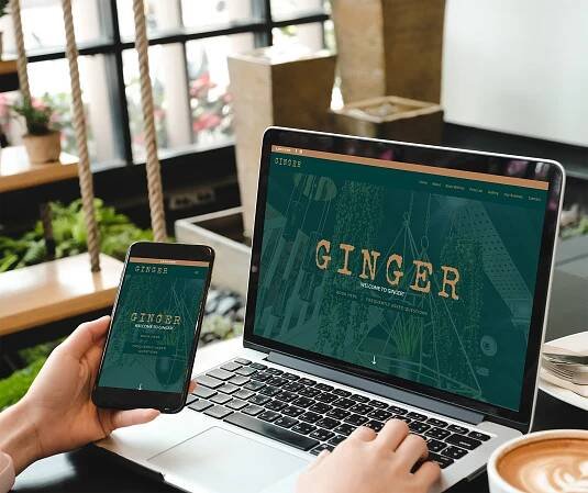gingerweblaunch1