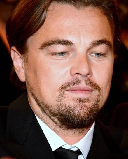 The Wolf of Wall Street (2013 film) - Wikipedia