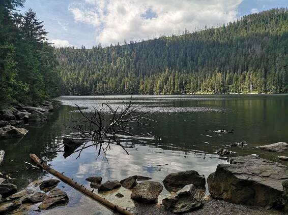 ŠUMAVA - Černé a Čertovo jezero »