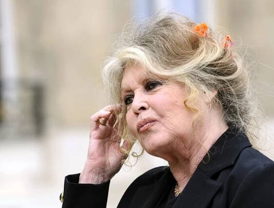 Bardotová přiznává: Byla jsem sexy symbolem. A doslova jsem tím trpěla