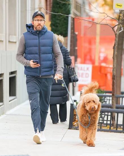 Hot Hollywood Celebrities Walking Their Dogs