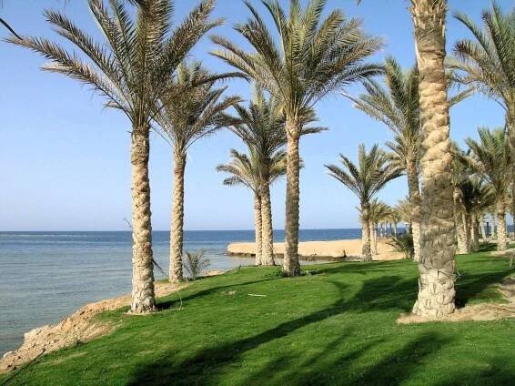 Royal Brayka Beach Resort