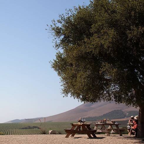Visit the Cambria Estate Winery | Santa Barbara Wine Tastings