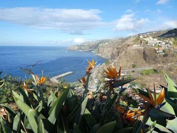 Madeira letecky: 4* hotel ve Funchalu se snídaní, bohaté možnosti výletů po celém ostrově