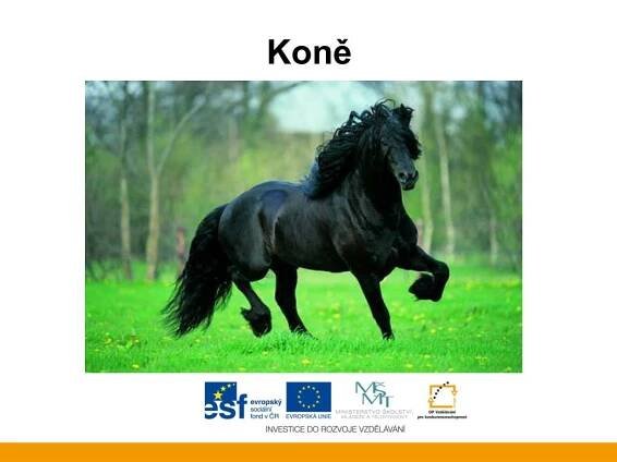 PPT - Agrokonzulta Žamberk PowerPoint Presentation, free download - ID:3285557