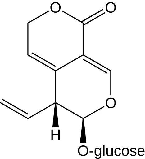 Soubor:Gentiopicroside-1.svg – Wikipedie