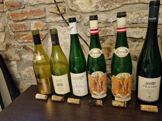 JAK STÁRNE WACHAU? | Arhiv degustací