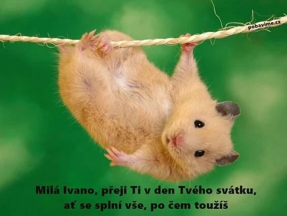 Sháníte přání k svátku pro Ivu (Ivanu, Ivanku) | Pobavime.cz