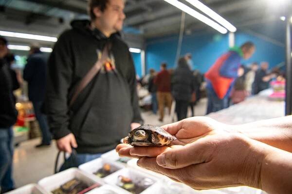 Víkendové tipy v Ostravě: noblesní i zábavné plesy, Fauna trhy, fotbálek i hokej
