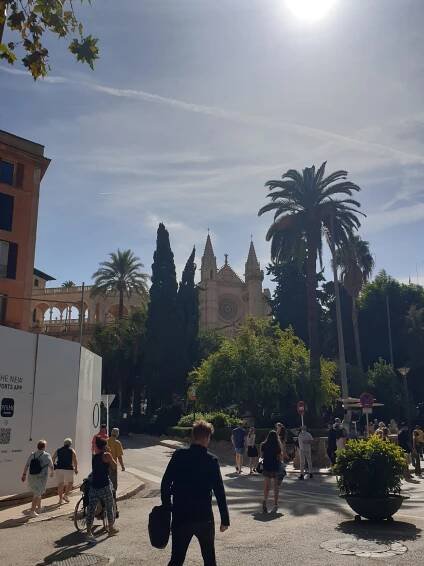 Praxe Palma – Obchodní akademie TGM Kostelec nad Orlicí